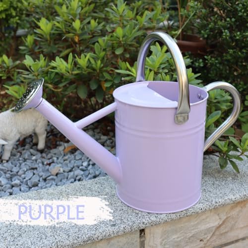 Metal Watering Can 1 Gallon for Outdoor Garden Plants,Purple - Image 3