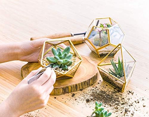 Mkono 3 Pack Fake Succulents in Geometric Glass Terrarium Gold Office Decor - Image 4
