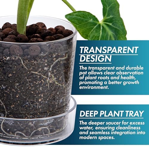 Phoenix Vine 4.5 Inch Clear Acrylic Planter Pot with Tray, Orchid Pot with Drainage Holes, Deep Saucer for Bottom Watering, Transparent Containers for Indoor Plants, Herbs, Set of 4, 91-A-E-4 - Image 4