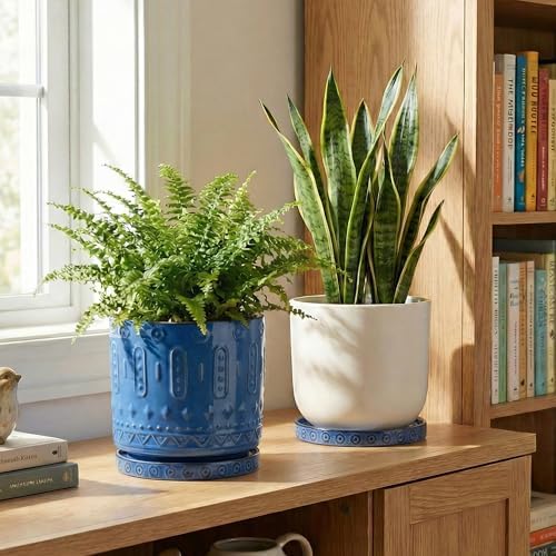 Eightpot Plant Water Catcher Tray 7.5 Inch, 2 Pack Ceramic Plant Saucer for Indoor Outdoor, Round Plant Plates to Catch Water, Modern Plants Drainage Tray, Decorative Plants Dish, Blue - Image 6