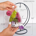 Creations by Nathalie 7" Teardrop DIY Glass Terrarium Kit - Image 3