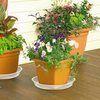 FUIJOL 4 Pack Clear Plant Saucer 16 Inch, Durable Plant Drip Trays Saucers for Pots, No Holes Water Catcher Trays for Indoor Outdoor Planter, Sturdy Base Plate(16", Clear) - Image 6
