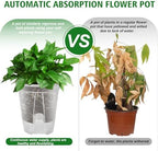 Cdd's Path Large Naked Root Planter Self Watering Pots Set with Holes for Indoor/Outdoor Plants, Planter Pot with Watering Hole/Reservior and Air Pipes (Clear, 8 inch-5 Pack) - Image 4