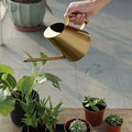 AUNMAS Stainless Steel Watering Bonsai Can Sprinkle Indoor Pot Long Mouth Spout Garden Outdoor Plants Tool for Garden Patio Yard Indoor Outdoor(1500ml) by AUNMAS