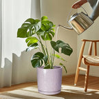 Eightpot Plant Plates to Catch Water, 9.3 Inch Plant Pot Saucers for Indoor Outdoors, Round Plants Drip Tray, Modern Ceramic Plant Saucer, Decorative Plants Dishes to Catch Water, Garden Gift, Purple - Image 3