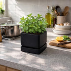 D'vine Dev 4-Pack Plastic Herb Planter Pots, 6 in, Black, 76-Y-B4-2 - Image 4