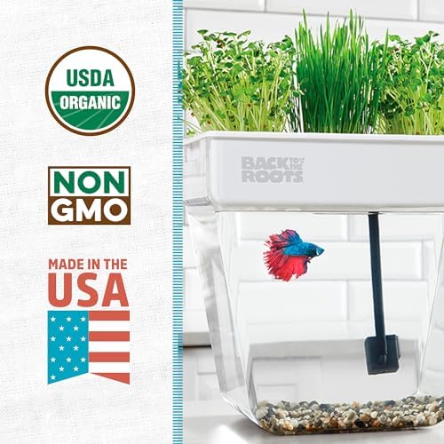 Back to the Roots Indoor Aquaponic Garden - 3 Gallon Self Watering, Mess-Free Planter and Self-Cleaning Fishtank for Herbs, Microgreens, Bamboo, Succulents, and Houseplants, support Fish - Image 2