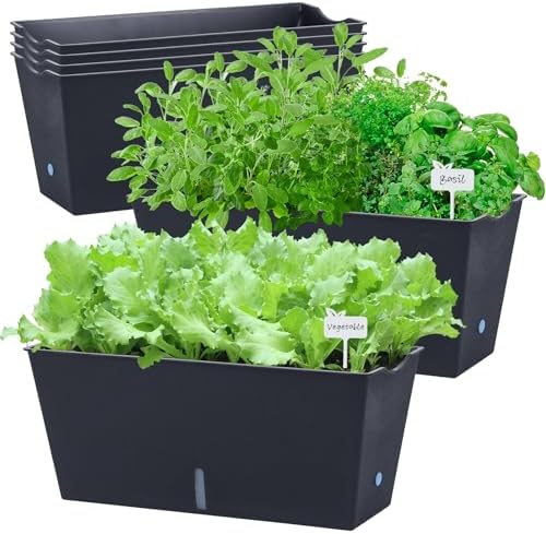 Window Box Planter 6 Pcs, 16.5 Inches Self Watering Rectangle Flower Plant Pots with Drainage Holes Trays, Vegetable Planters for Windowsill Patio Garden Balcony Porch Yard (Black) by Oliz