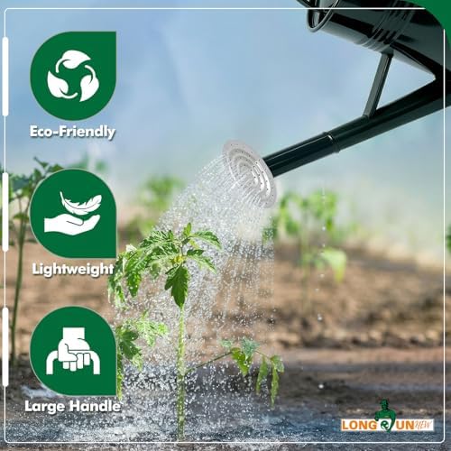 Galvanized Iron Watering Can for Indoor Plants, Oval Watering Cans for House Plant Garden Flower, Long Spout Water Can for Outdoor Watering Plants 9.46L 2.5 Gallon - Image 5