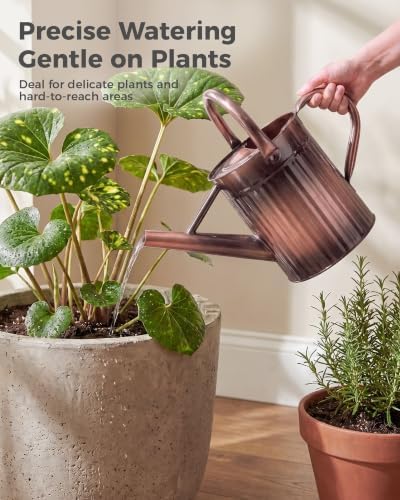 Bamworld Metal Watering Can for Indoor Outdoor 1 Gallon Antique Bronze - Image 6