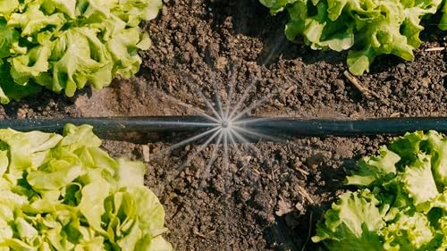 Gardena Micro-Drip-System Drip Irrigation Set Vegetable/Flower Bed (60 m²): Starter Set, Ready to use, Water-Saving Irrigation System, Simple & Flexible Connection Technology (13450-20) - Image 7