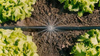 Gardena Micro-Drip-System Drip Irrigation Set Vegetable/Flower Bed (60 m²): Starter Set, Ready to use, Water-Saving Irrigation System, Simple & Flexible Connection Technology (13450-20) - Image 7
