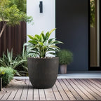 Kante Large Round Bowl Vintage BRN Concrete Planter 18" Dia, Outdoor - Image 4