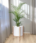 D'vine Dev Plastic Pot with Natural Wood Stand, White, 14 in, 55-C-S-1 - Image 2