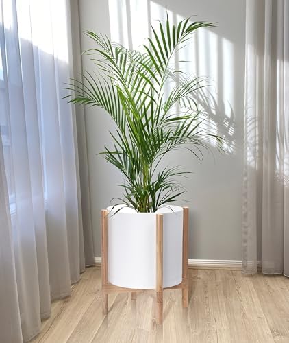 D'vine Dev Plastic Pot with Natural Wood Stand, White, 14 in, 55-C-S-1 - Image 2