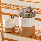 HASENSE Self Watering Plant Pot, 6 Inch Porcelain Planter with Drainage Hole and Saucers for Indoor & Outdoor Plants, Round Flower Pots for Houserwarming Gift, White - Image 5