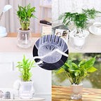 Self Watering Cotton Wick Cord, for Potted Plant Planting Planter Pot Automatic Slow Release Garden Drip Irrigation System 4/6mm(Length 20m(Dia 6mm)) - Image 2