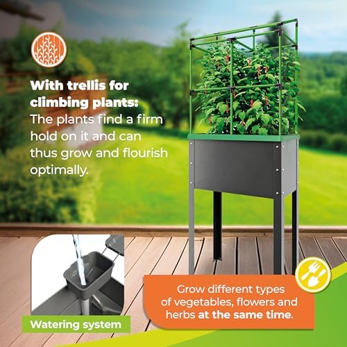 BioGreen Raised Garden Bed with Trellis Heidelberg | 11 gal | 1“L x 2.3“W x 7.6“H | Self-Watering Metal Planter Box | Ideal Growth for Climbing Plants - Image 6