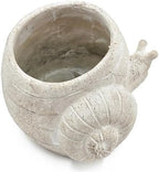 Decorative Snail Planter, 9.5 Inch, Textured Beige - Image 3