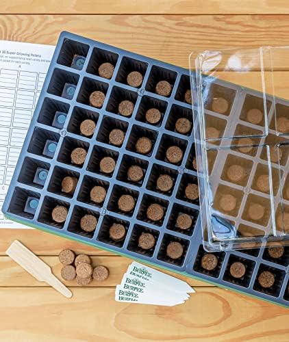 Burpee 72 Cell Seed Starting Kit with Greenhouse Dome and Coir Pellets - Image 2
