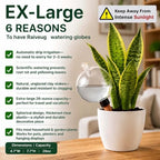 6 Pack 26oz Extra Large Plant Self Watering Globes to 3 Weeks Watering - Image 3