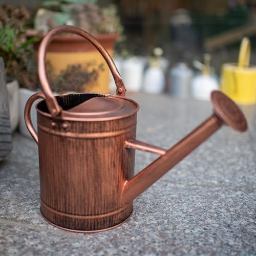 1 Gallon Copper Metal Watering Can, Removable Spout - Image 4