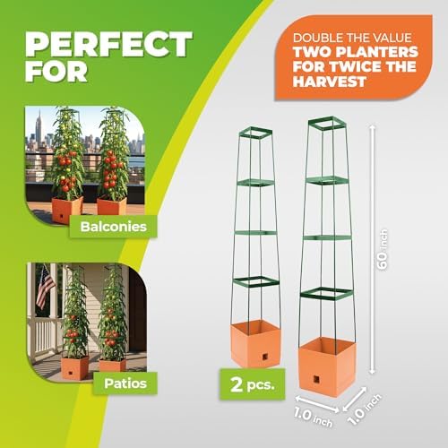 BioGreen 2 Pack Garden Tomato Planter MAXITOM, with Plant Support Trellis 59 inch and Self Watering, 4,2 Gal Planter Box for Climbing Vegetables Plants, Terracotta - Image 3