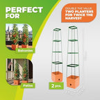 BioGreen 2 Pack Garden Tomato Planter MAXITOM, with Plant Support Trellis 59 inch and Self Watering, 4,2 Gal Planter Box for Climbing Vegetables Plants, Terracotta - Image 3