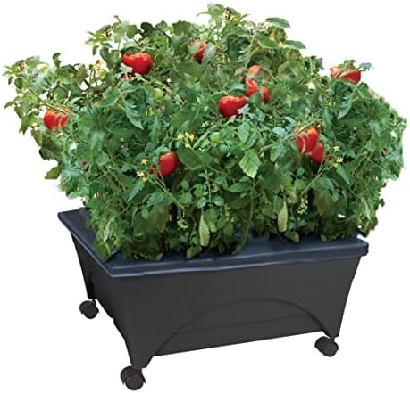 Emsco Group City Picker Raised Bed Grow Box – Self Watering and Improved Aeration – Mobile Unit with Casters by EmscoGroup