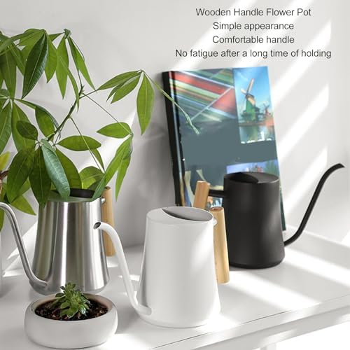 1 Liter Stainless Steel Long Spout Watering Can with Wooden Handle for Indoor Plants, 35 oz Metal Watering Pot - Image 7