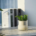 Phoenix Vine 4 Inch Self Watering Planter Pot, Design White Terracotta Pots for Plants, Indoor Cylinder Terra Cotta Pots with Glass Vase, Set of 2, 51-B-E-2 - Image 2