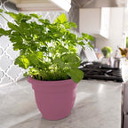 Bloem Ariana 8" Plastic Self-Watering Planter, Dusty Rose, 4-Pack - Image 2