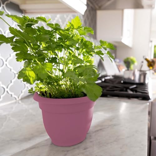 Bloem Ariana 8" Plastic Self-Watering Planter, Dusty Rose, 4-Pack - Image 2