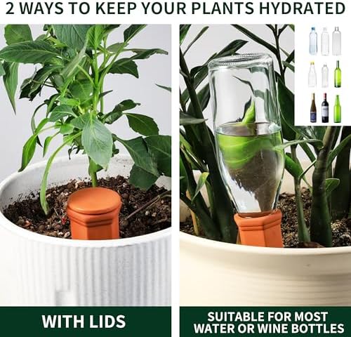 Soilagua Large Terracotta Watering Spikes with Lids, Automatic Plant Waterer Outdoor | Indoor, Vacation Friendly Clay Plant Watering Devices System, Slow Release Self Watering Planter Insert, 6 Pack - Image 3