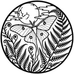 Butterfly Moon Ferns Metal Wall Art for Living Room with Detailed Design by Unknown