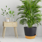 Meowell 12 inch Large Self Watering Pot for Indoor Outdoor Plants - Image 7