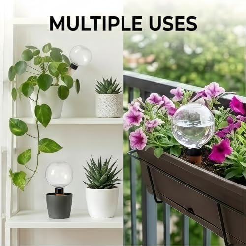 6Pcs Plant Self Watering Globes, 16.9oz Insert Top Fill to 2 Weeks Watering - Image 7