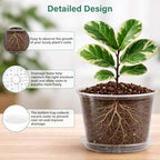 Bluepro Clear Nursery Pots with Saucers, 5/6/8/10 Inch, 12-Pack - Image 3