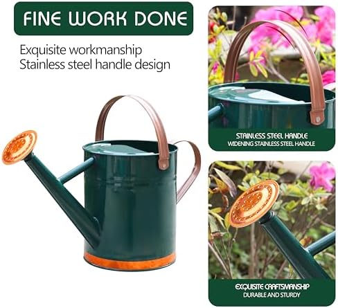 Metal Watering Can for Outdoor Plants, Watering Can Decor 1 Gallon (GB) - Image 3
