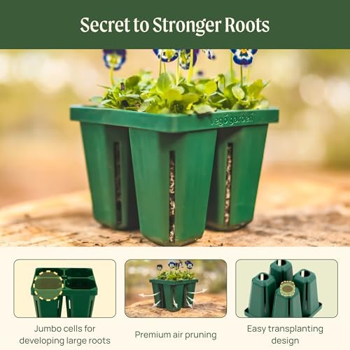 Vego garden Germination Bundle, 8Packs Jumbo Seedling Trays with Seedling Tray Lids and 10" x 20" Bottom Watering Trays Plus Seedling Humidily Dome - Image 6