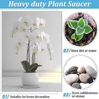 Eccliy 6 Pack Plastic Plant Saucer, Round, 16 Inch, White - Image 5