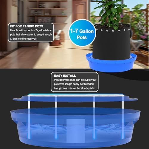 5-Pack Self-Watering Base with Visible Water Level - Image 2