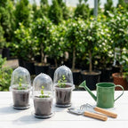 EBaokuup 20 Pack Self Watering Seed Starter Pot, 3 Inch Automatic Watering Plant Nursery Pots with Humidity Dome, Self Watering Nursery Pots for Potted Plants Seed Germination - Image 6