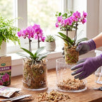5/6 Inch Clear Acrylic Orchid Planter Pot with 360° Round Holes & Tray - Image 5