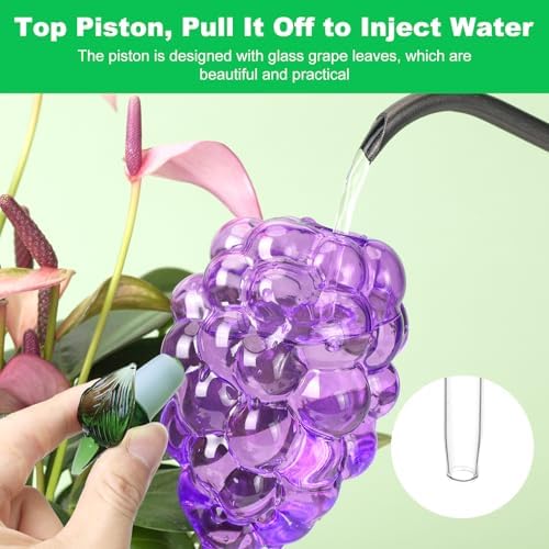 3 Packs Grape Plant Watering Globes with Terracotta Stakes, Glass Self-Watering Planter Insert, Automatic Watering Bulbs for Indoor & Outdoor Plants, Refillable via Top Opening - Image 2