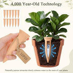 12 Pack Terracotta Watering Spikes with Lids Plant Watering Spikes Automatic Plant Waterer Devices Outdoor Indoor Vacation Friendly Slow Release Self Waterer Planter Insert(Medium) - Image 5