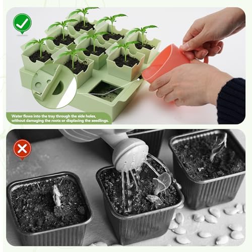 2 Pack Seed Starter Trays, Lift-Out Handles, Easy Transplanting - Image 3