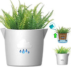 King's Gardening Clever Pot - Self Watering Pot for Indoor Outdoor Use, Animated Cloud Water Level Indicator, UV Resistant Planter, Ideal for Flowers, African Violets, and More 8" (Pearl Cloud) by Unknown