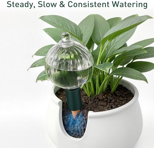 12 oz Up to 1 Week Glass Plant Watering Globe with Terracotta Spikes - Image 6