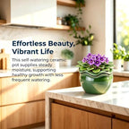 Self-Watering Ceramic Pot for African Violet Indoor Plants - Image 6